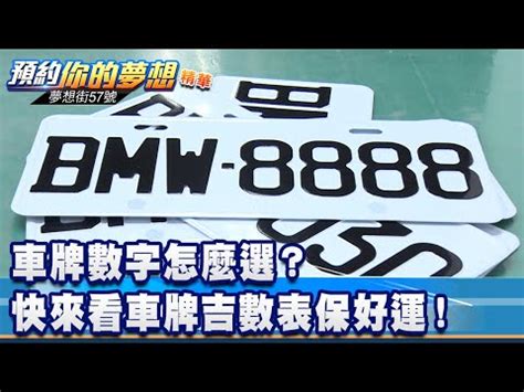 盤子網路用語意思 大吉車牌號碼2022